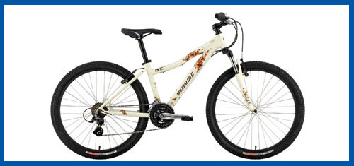 Mountain Bike 5